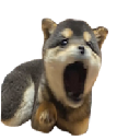 PopDog