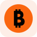 MicroStrategy Tokenized Stock (Reality)