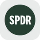 SPDR S&P 500 Tokenized Stock (Reality)