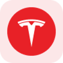 Tesla Tokenized Stock (Reality)