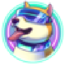 SDOGE