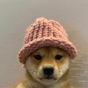 DOGWIFHOOD
