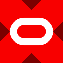Wrapped Oracle Tokenized stock (xStock)