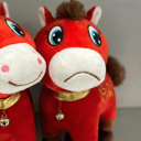 CRY CRY HORSE