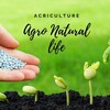 Telegram chat Agro Natural Life 🍀 logo