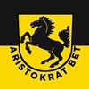Telegram chat ARISTOKRAT II BET 🇸🇱 logo