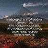 Telegram chat Про100 INVEST logo