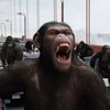 Telegram chat ape's lounge logo