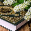 Telegram chat ARAB TILIDAN QUIZ TESTLARΞ♡ู๊ ู๊ ู๊🌸🕋😊 logo
