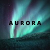 Telegram chat Aurora Catch beta testers logo