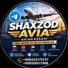 Telegram chat AVIAKASSA SHAKHZOD logo