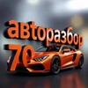Telegram chat 🚗 Vrazbor70 logo