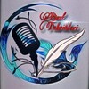 Telegram chat Baxt tabriklari logo