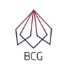 Telegram chat BCG项目代投群 logo