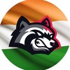 Telegram chat BetFury IN🇮🇳 logo