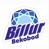 Telegram chat Billur Bekobod logo