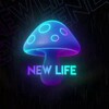 Telegram chat НОВАЯ ЖИЗНЬ/Fly agaric chat logo