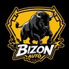 Telegram chat BIZON-AUTO-SPB logo