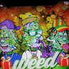 Telegram chat Giftweed logo