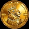 Telegram chat BOBRCOIN logo