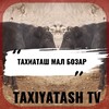 Telegram chat ТАХИАТОШ МОЛ БОЗАР https://t.me/BOYS_MAL_BAZOR_TAXIYATASH logo