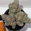 Telegram chat Brisbane Buds and Bills ☘️💳💨💰 logo