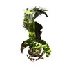 Telegram chat Butovo Chess Park /trails&trains logo