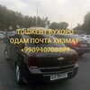 Telegram chat QOROVULBOZOR BUXORO TOSHKENT taksi xizmati logo