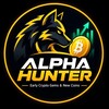 Telegram chat Alpha Hunter logo