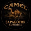 Telegram chat Camel - заработок на отзывах | Яндекс | Avito | Google | 2ГИС logo
