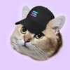 Telegram chat CatSolHat community logo