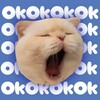 Telegram chat Продажа/обмен адоптов/артов ୨♡୧ logo