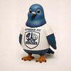Telegram chat 🕊 Чатік - Pigeon 💬 logo