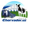 Telegram chat Chorvador.uz logo