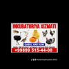 Telegram chat CHUST INKUBATOR🐣 logo