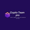 Telegram chat Crypto_team_pro group logo