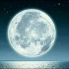 Telegram chat ••♫•♬DAGI-GROUP •♫•♬• logo