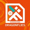 Telegram chat DFdunk Official🏀 logo