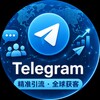 Telegram chat 新加坡 Telegram引流 客户线索 logo