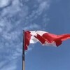 Telegram chat 🇨🇦 DriveCanada Chat logo