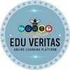 Telegram chat 🌐 Edu Veritas group 🌐 logo