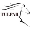 Telegram chat Tulpar_chat logo