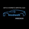 Telegram chat Електромобілі з Норвегії , США Нідерландів та Німеччини 🔋 MODWELL logo