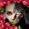 Telegram chat Елена Одежда для всей семьи 👫 Оптовые цены👌 logo