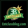 Entclass Blog - Telegram Groups