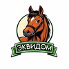 Telegram chat EquiDom - Конный чат со всего мира logo