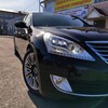 Telegram chat Hyundai Equus logo