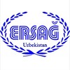 Telegram chat ERSAG UZ Tashkent logo