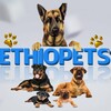 Telegram chat Ethio pets Free Promotion logo