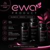 Telegram chat EWA _PRODUCT logo